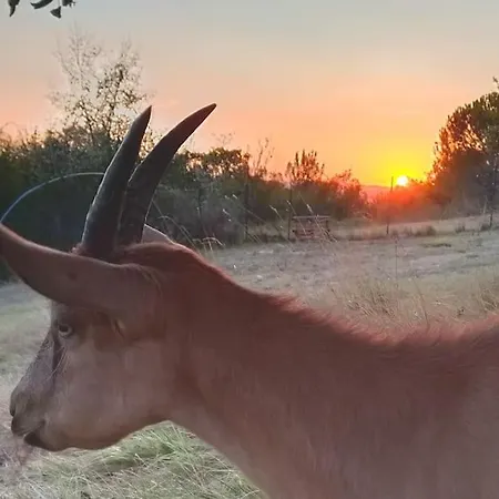 Domaine De La Crete Les Cocottes Zen
