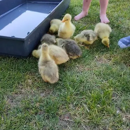 Domaine De La Crete Les Cocottes Zen *