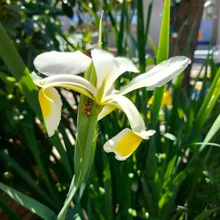 Domaine De La Crete Les Cocottes Zen Apartamento