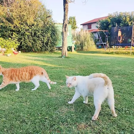 Apartamento Domaine De La Crete Les Cocottes Zen