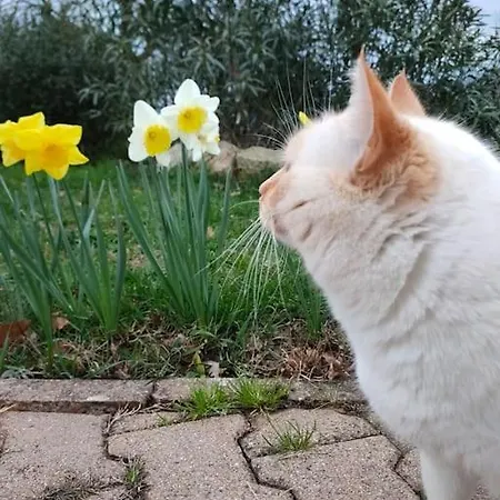 Domaine De La Crete Les Cocottes Zen * Saint-Jean-de-Thurac