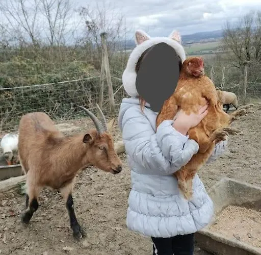 Domaine De La Crete Les Cocottes Zen Saint-Jean-de-Thurac