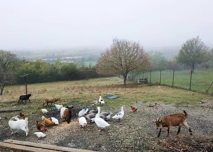 Domaine De La Crete Les Cocottes Zen דירה *