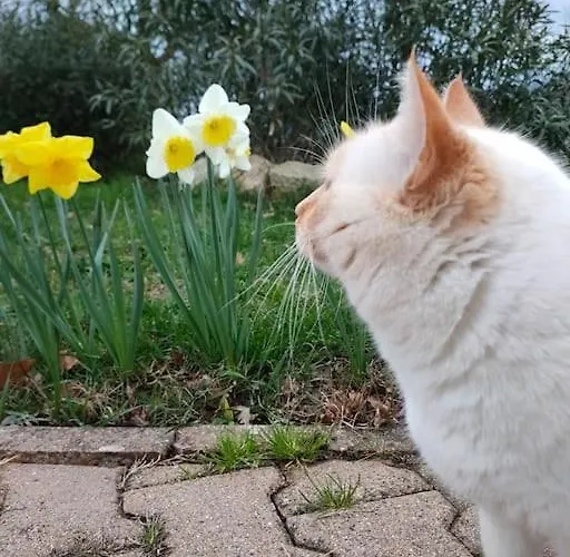 Domaine De La Crete Les Cocottes Zen * Saint-Jean-de-Thurac